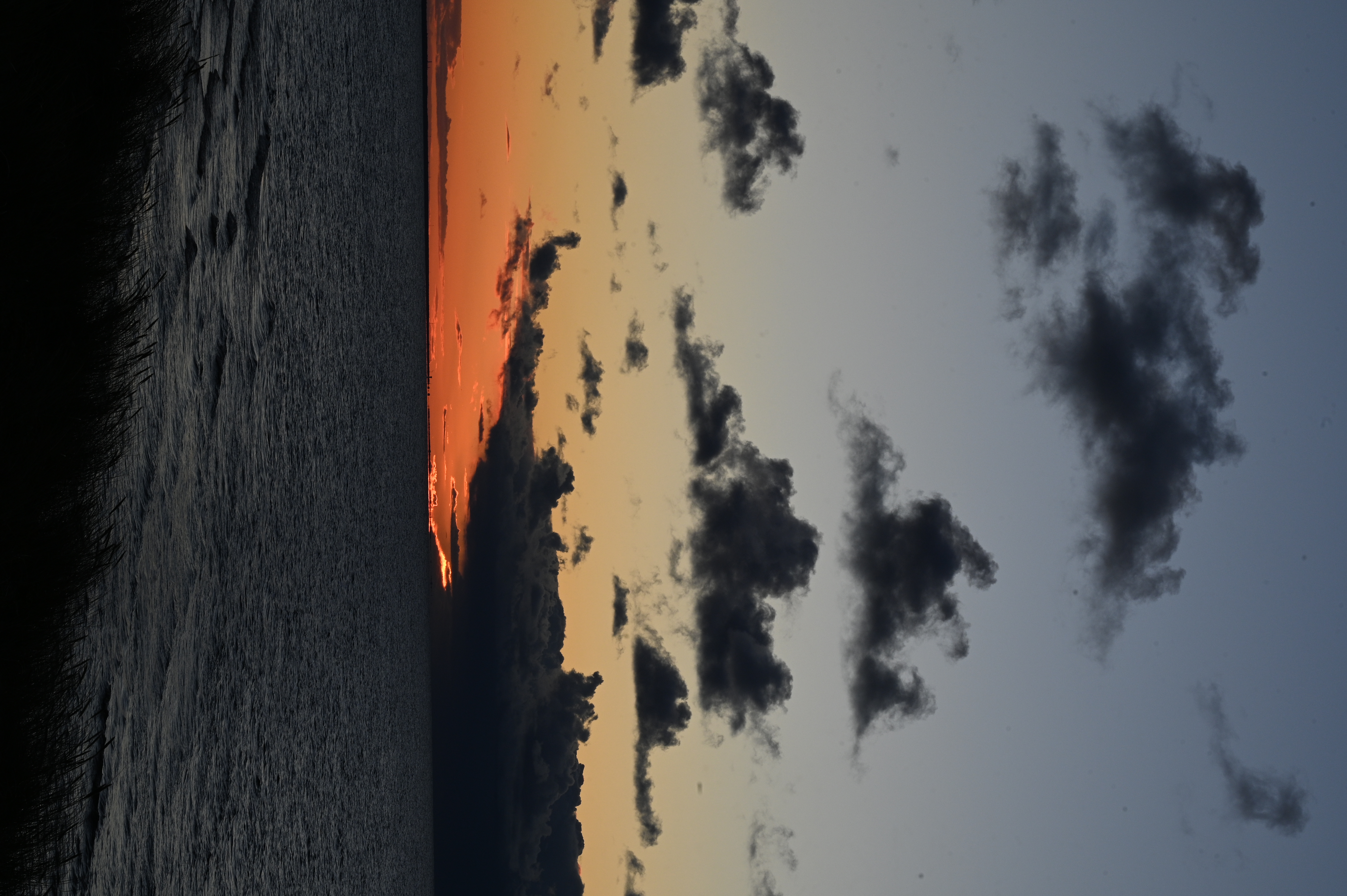 2025/10/18 - walk/DSC_0522.JPG